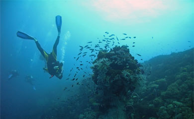 Diver hovering over a coral outcrop.
