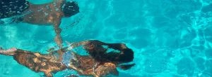 Man and woman under water in a swimming pool